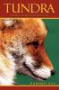 Tundra
