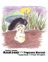Anatomy of a Popcorn Kernel: Exploration into Visual Perception