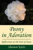 Peony in Adoration: Reflections at the Feet of Jesus