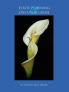 Estate Planning and Executor Guide