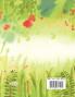 Jewels of the Forest (an Aborigine Tale)