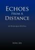 Echoes From A Distance
