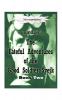 The Fateful Adventures of the Good Soldier Vejk During the World War Book Two