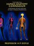 THE ESSENTIAL HUMAN ANATOMY COMPENDIUM