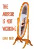The Mirror Is Not Working