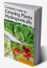 Complete Guide for Growing Plants Hydroponically