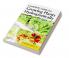 Complete Guide for Growing Plants Hydroponically