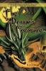 The Dragon's Treasure
