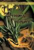 The Dragon's Treasure