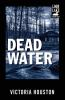 Dead Water (Volume 3) (A Loon Lake Mystery)