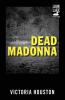 Dead Madonna (Volume 8) (A Loon Lake Mystery)