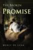 The Broken Promise