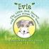 Evie' the Little Jack Russell with Brown Around Her Eyes