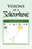 Visions of a Schizophrenic