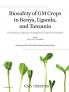 Biosafety of GM Crops in Kenya Uganda and Tanzania