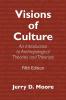 Visions of Culture