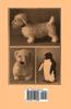 The Making of Soft Toys - Including a Set of Full-Sized Patterns for Animals and Birds