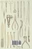Lessons In Taxidermy - A Comprehensive Treatise On Collecting And Preserving All Subjects Of Natural History - Book II.