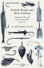 Norfolk Broad And River Fishing - Fishing For Pike And Other Coarse Fish