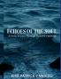 Echoes of the Soul