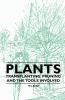 Plants - Transplanting Pruning and the Tools Involved