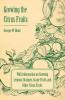 Growing the Citrus Fruits - With Information on Growing Lemons Oranges Grape Fruits and Other Citrus Fruits
