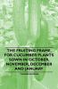 The Fruiting Frame for Cucumber Plants Sown in October November December and January
