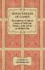 Hoyle's Rules of Games - Descriptions of Indoor Games of Skill and Chance With Advice on Skillful Play