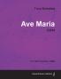Ave Maria D.839 - For Violin and Piano (1825)