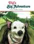 Pig's Big Adventure