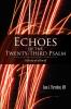 Echoes of the Twenty-Third Psalm