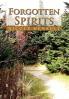 Forgotten Spirits