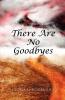 There Are No Goodbyes