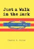 Just a Walk in the Dark