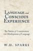 Language and Conscious Experience