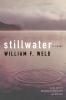 Stillwater: A Novel