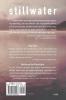 Stillwater: A Novel