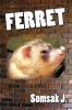 Ferret