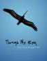 Through My Eyes