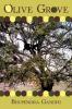 Olive Grove