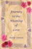 Journey to the Meaning of Love