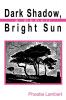 Dark Shadow Bright Sun