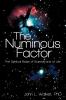 The Numinous Factor