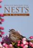 Where The Birds Make Their Nests