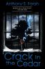 Crack in the Cedar