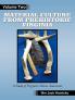 Material Culture from Prehistoric Virginia