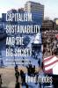 Capitalism Sustainability and the Big Society
