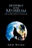 Mystery of the Museum