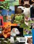 Animal Adventures