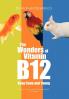 The Wonders of Vitamin B12